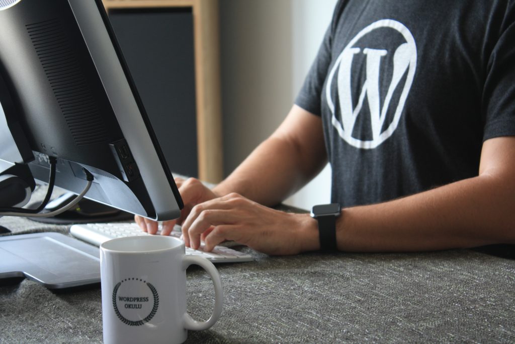 WordPress development agency | WordPress website development services