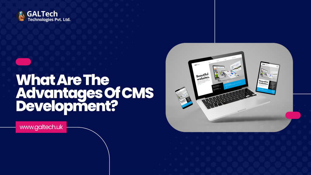 CMS development company